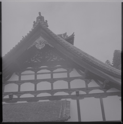 knd_39516()