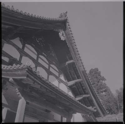 knd_39522()