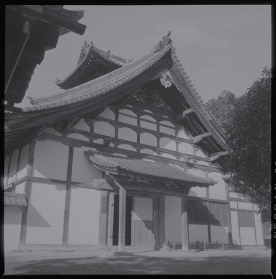 knd_39523()
