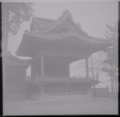 knd_39524()