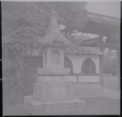 knd_39534()