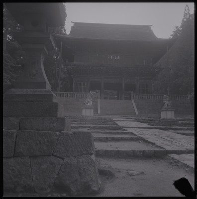 knd_39560()