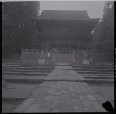 knd_39561()