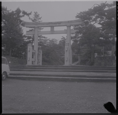 knd_39619()