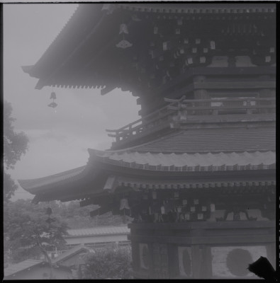 knd_39649()