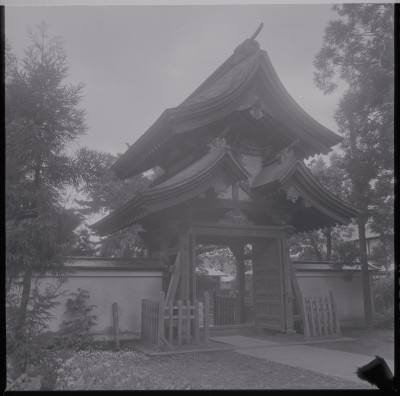 knd_39685()