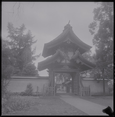 knd_39686()