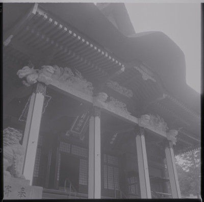 knd_39784()