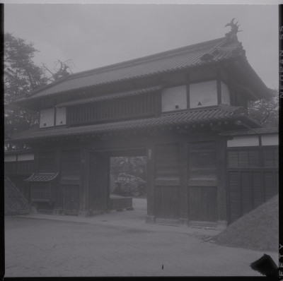 knd_39824()
