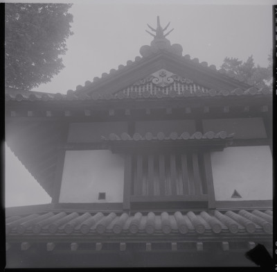 knd_39834()