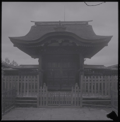 knd_39902()