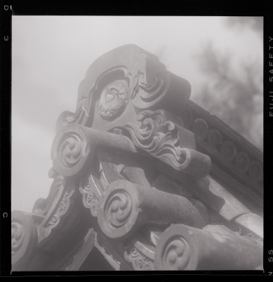 knd_39995(京都府京都市北区上善寺門前町_)