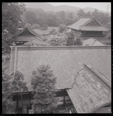 knd_40077(京都府京都市東山区三十三間堂廻リ)
