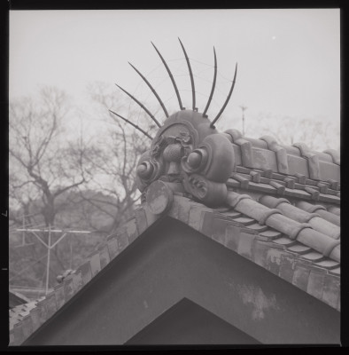 knd_40284(京都府京都市東山区祇園町南側５０９)