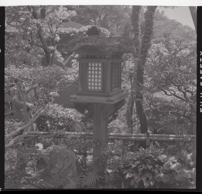 knd_40296(京都府京都市東山区円山町)