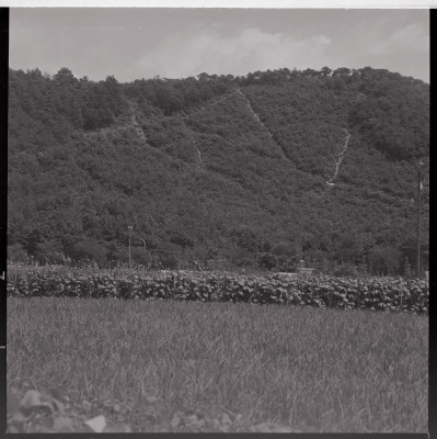 knd_40377(京都府京都市左京区松ケ崎西山)