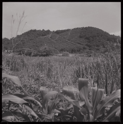 knd_40379(京都府京都市左京区松ケ崎西山)