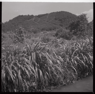 knd_40380(京都府京都市左京区松ケ崎西山)
