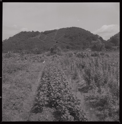 knd_40381(京都府京都市左京区松ケ崎西山)
