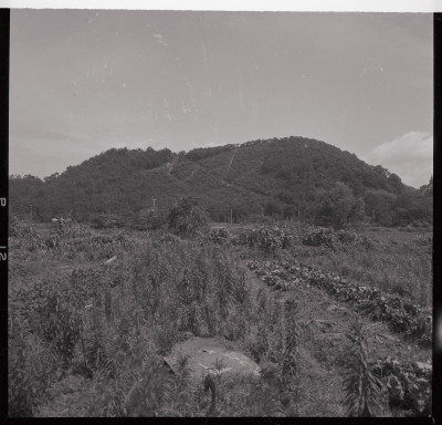 knd_40382(京都府京都市左京区松ケ崎西山)