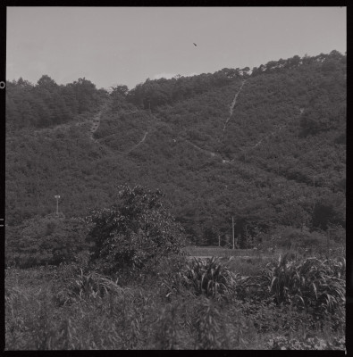 knd_40383(京都府京都市左京区松ケ崎西山)