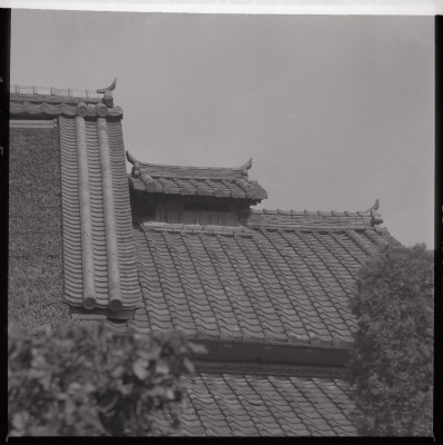 knd_40414(京都府木津川市吐師郷和田)