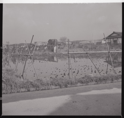 knd_40437(京都府城陽市寺田水度坂)