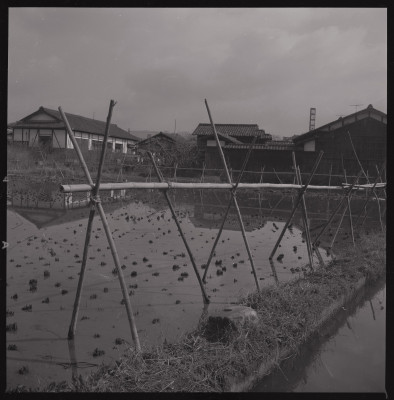 knd_40438(京都府城陽市寺田水度坂)