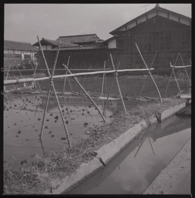 knd_40440(京都府城陽市寺田水度坂)