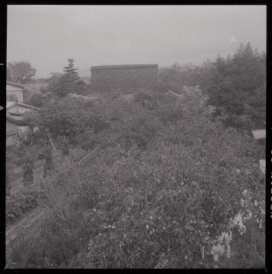 knd_40522(京都府亀岡市馬路町)