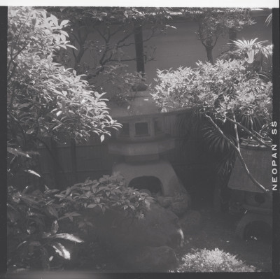 knd_40631()