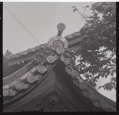 knd_40925()