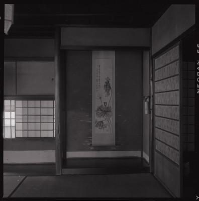 knd_41102()