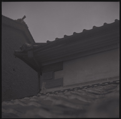 knd_42160()