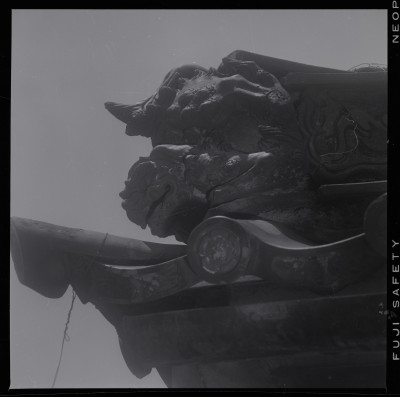 knd_44285()