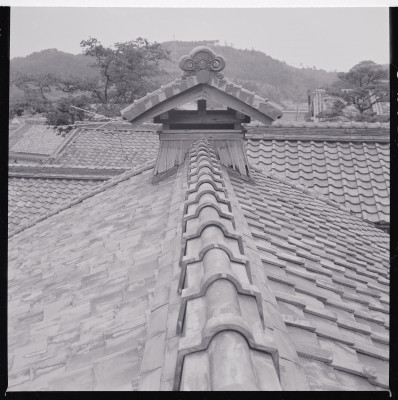knd_44745()