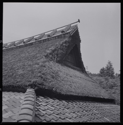 knd_44764()