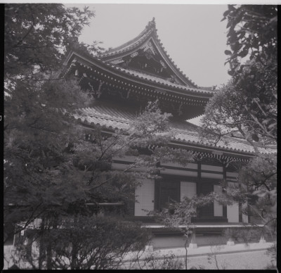 knd_45055(京都府京都市東山区泉涌寺山内町３２)