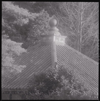 knd_45066(京都府京都市東山区泉涌寺山内町３２)