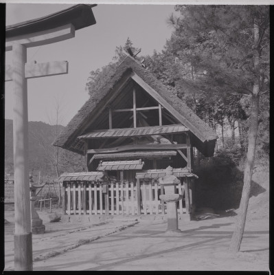 knd_45109(京都府京都市西京区大原野南春日町８１３)