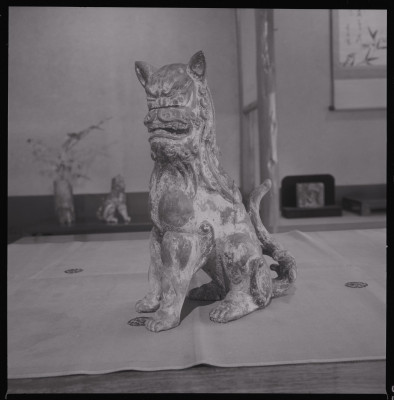 knd_45157(京都府京都市左京区下鴨芝本町)
