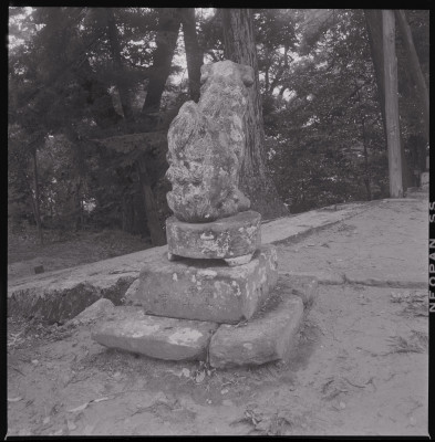 knd_45183(京都府与謝郡与謝野町男山１７８)