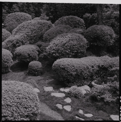 knd_45197(京都府京都市左京区鹿ケ谷御所ノ段町２１)