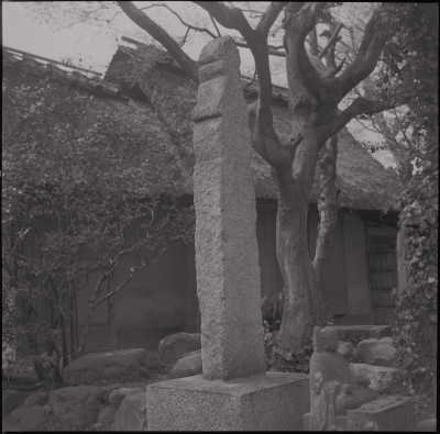knd_45471(京都府京都市南区上鳥羽鍋ケ淵町１０?１)