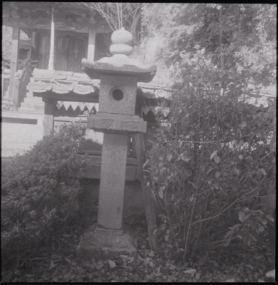 knd_45534(京都府木津川市山城町椿井天敷堂３７)