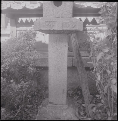knd_45548(京都府木津川市山城町椿井天敷堂３７)