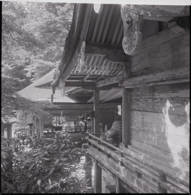knd_45567(京都府京都市左京区鞍馬貴船町１８０)