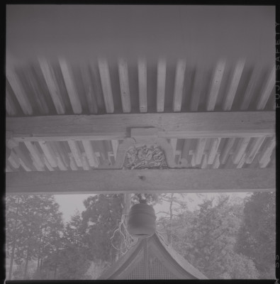 knd_46371()