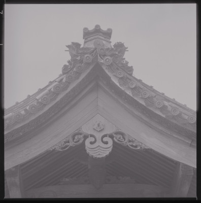 knd_46421()