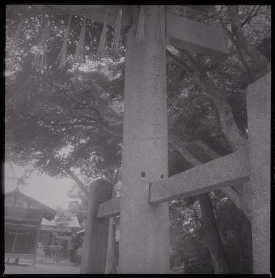 knd_46616(京都府相楽郡精華町下狛長芝２４)